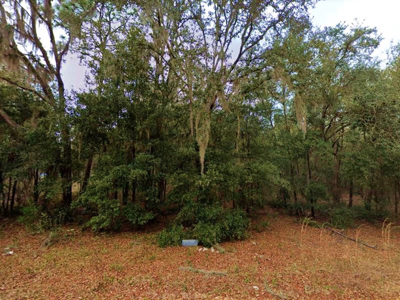 Discover The Perfect 0.22 Acre Lot : Florida : Putnam County : Florida