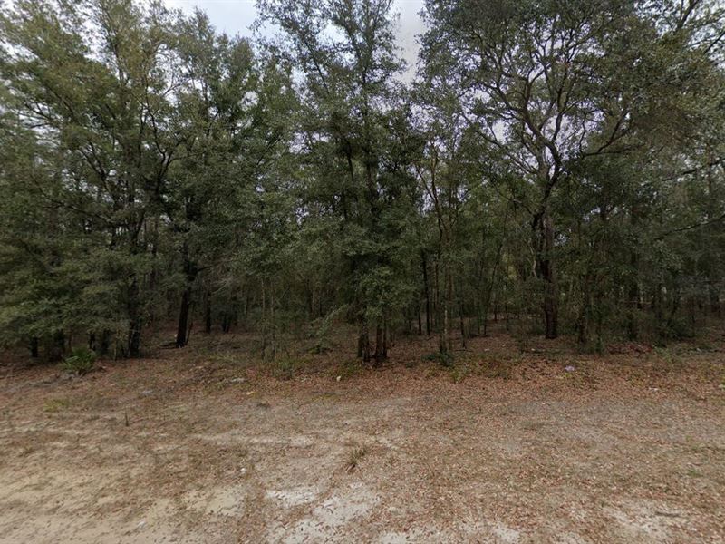 Build Lasting Memories on 0.22 Acre : Florida : Putnam County : Florida