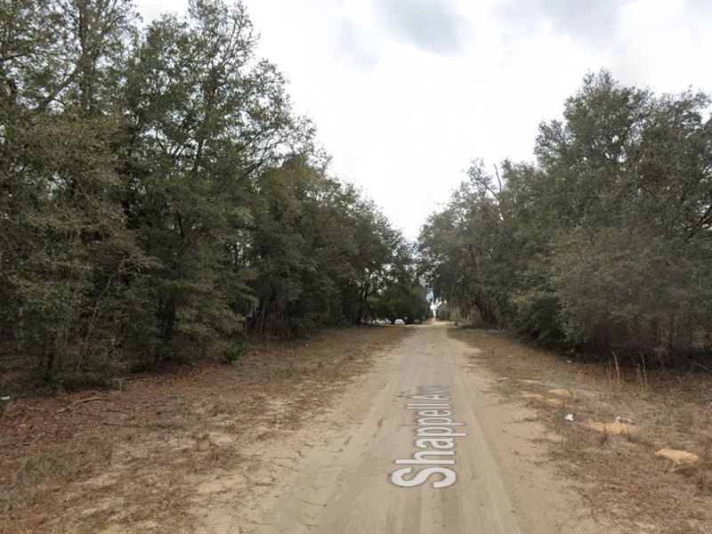 Discover Your Dream Home : Florida : Putnam County : Florida
