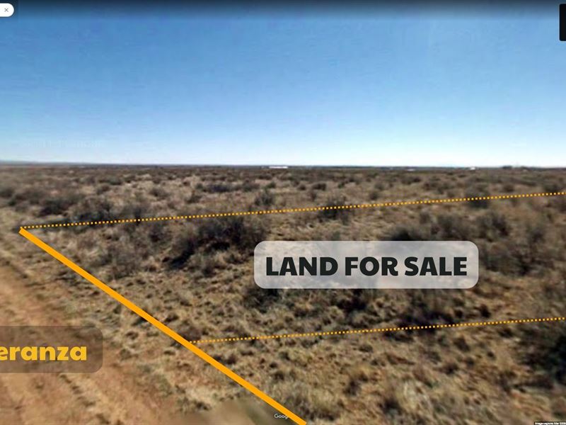 Country Living for Sale : McIntosh : Torrance County : New Mexico