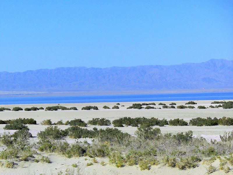 Canal Lot-Riviera Keys-Salton Sea : Salton City : Imperial County : California
