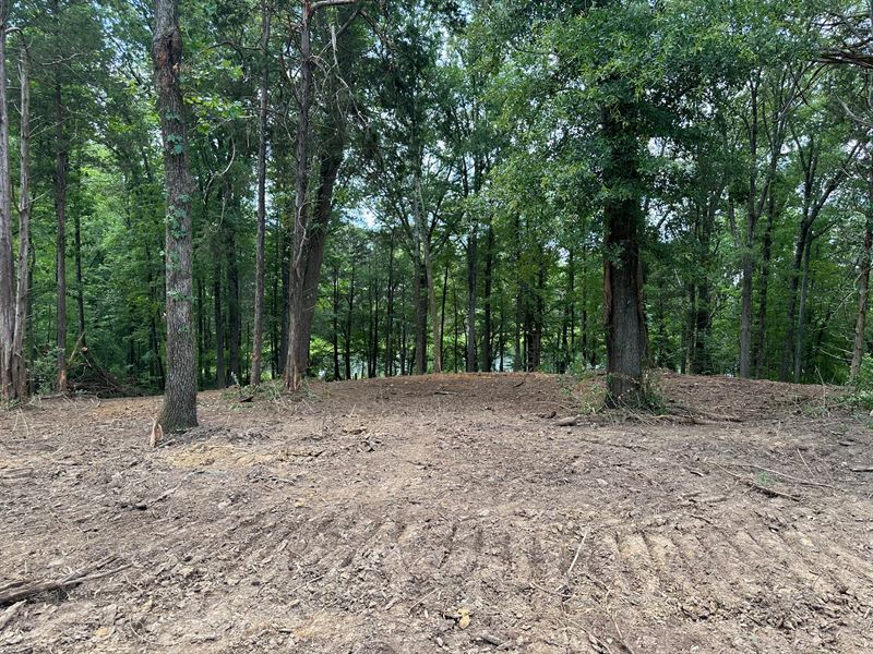 Land To Build On in Adamsville, TN : Adamsville : McNairy County : Tennessee