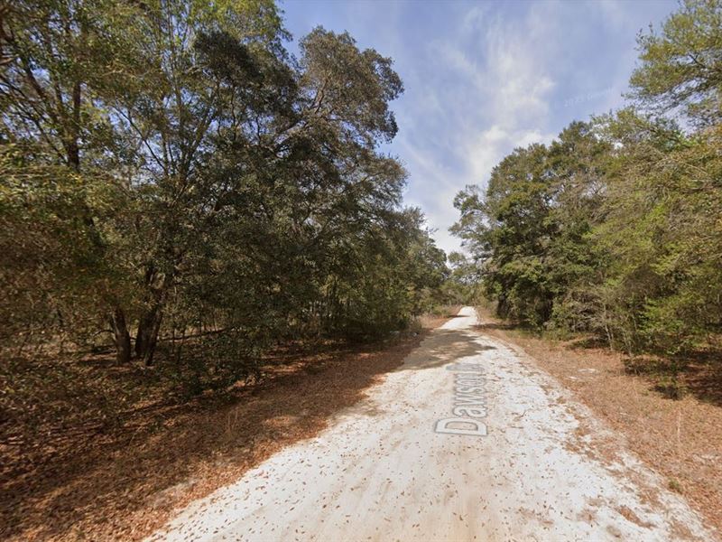 Build Your Dream Home on 0.22 Acres : Florida : Putnam County : Florida