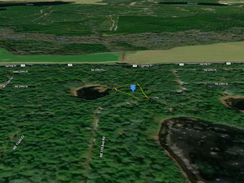 Half Acre in Ft McCoy, Florida : Fort Mc Coy : Marion County : Florida