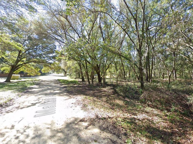 Discover Endless Possibilities Here : Florida : Putnam County : Florida