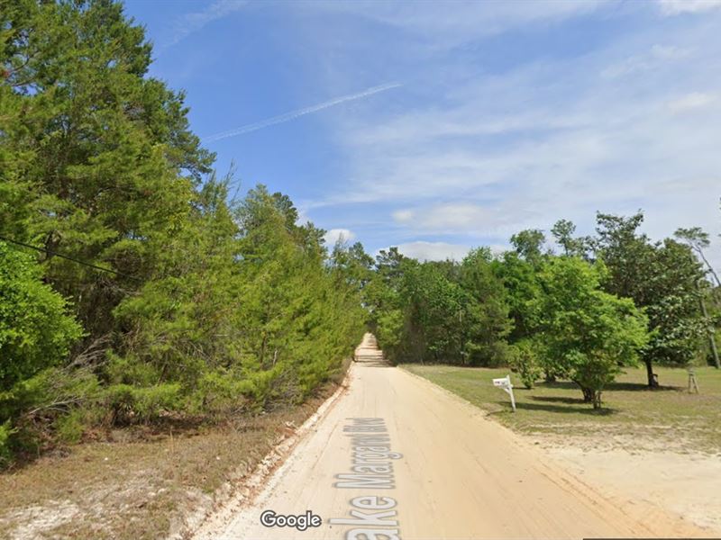 Epic Land, Big Savings, $499 Down : Pomona Park : Putnam County : Florida