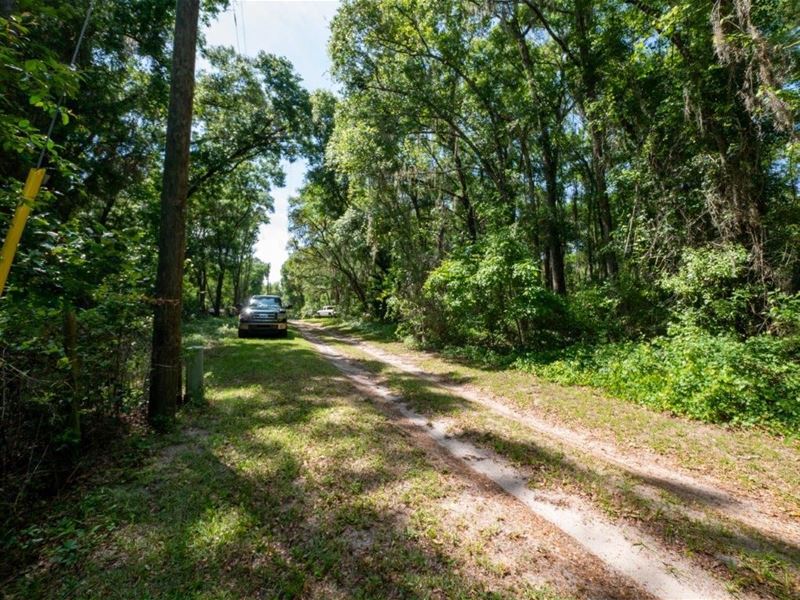 A Place to Build Your Dream Home : Citra : Marion County : Florida
