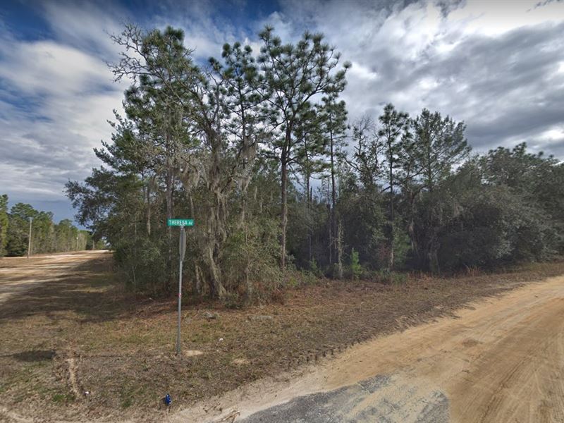 Corner Lot for Mobile Home : Interlachen : Putnam County : Florida