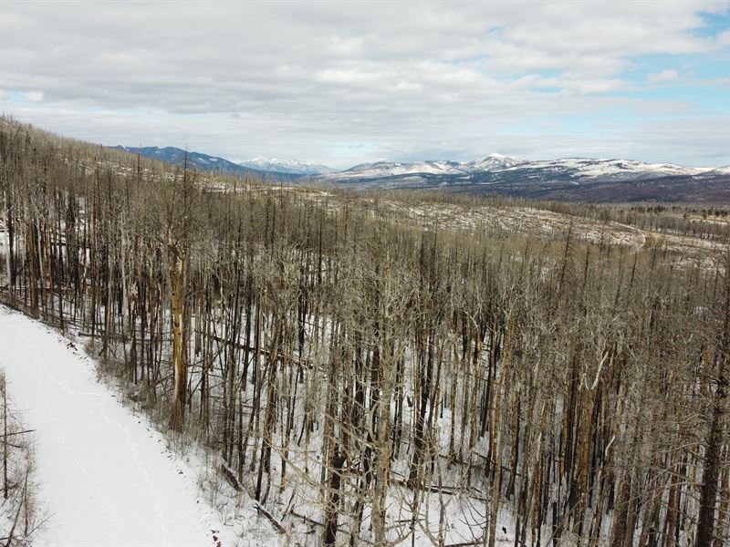 Trade City Chaos for Calm : Fort Garland : Costilla County : Colorado