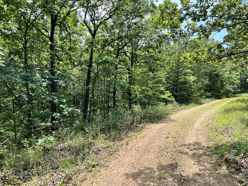 Your Campfire Nights, Benton County : Lincoln : Benton County : Missouri
