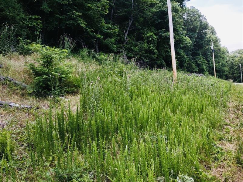 Resort Living, Was $7995 Now $5995 : Holiday Island : Carroll County : Arkansas