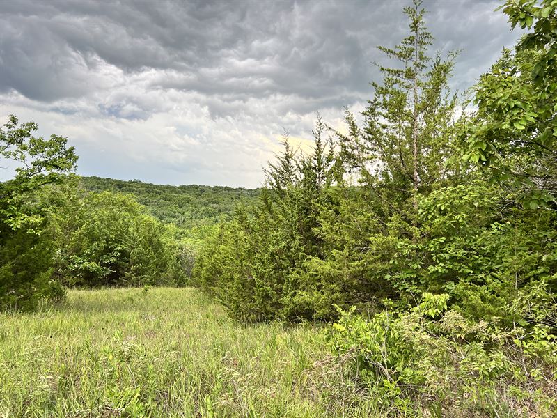 Camp by The Lake, Benton County : Lincoln : Benton County : Missouri
