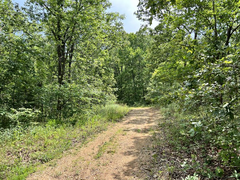 Camp & Live on This RV Home Lot : Lincoln : Benton County : Missouri
