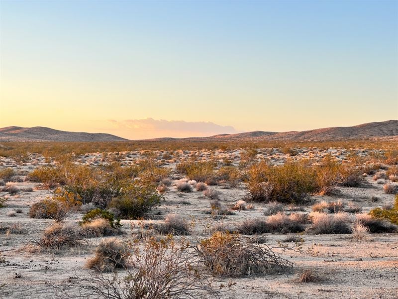 Corner Lot, San Bernardino County : Boron : San Bernardino County : California