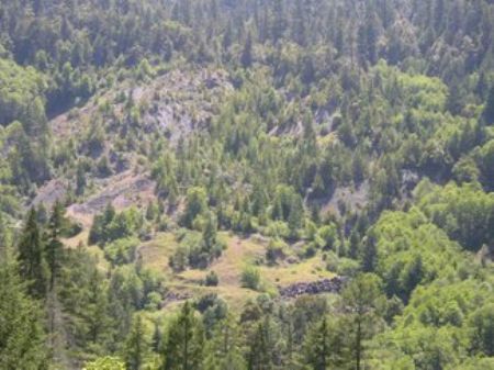 $270/mo-10 Ac California Gold Claim : Foresthill : Placer County : California