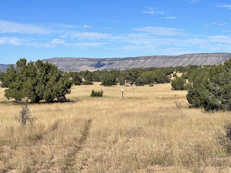 2.83 Ac with Trees, Yavapai County : Seligman : Yavapai County : Arizona