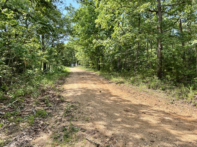Affordable, Benton County RV Gem : Lincoln : Benton County : Missouri