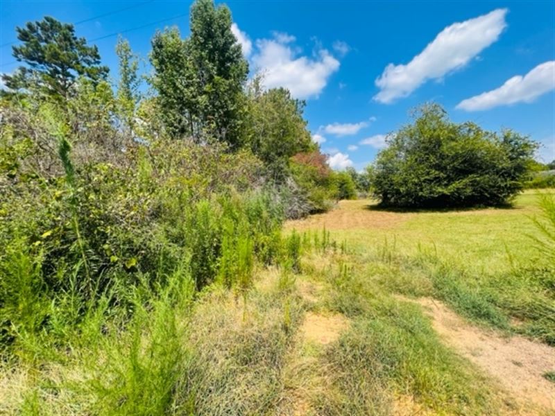 6 Acres / Jayess Community / Waltha : Jayess : Walthall County : Mississippi