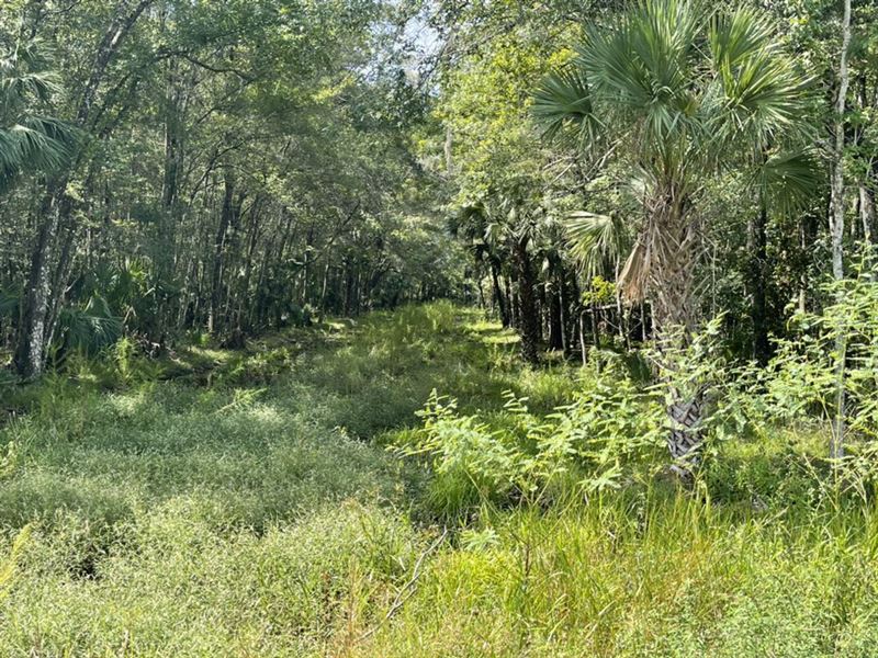 Us19 Inglis 1 : Inglis : Levy County : Florida