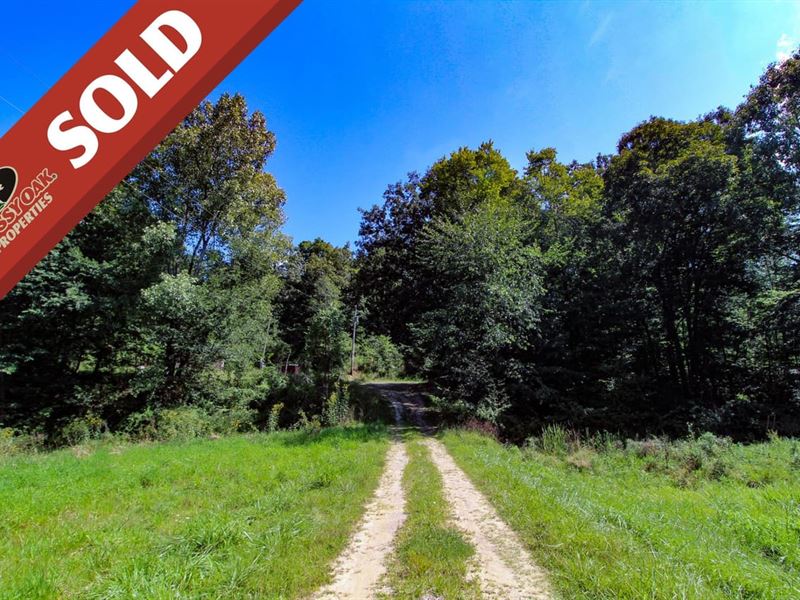 TR 411, 3 Acres, Coshocton County : Coshocton : Coshocton County : Ohio