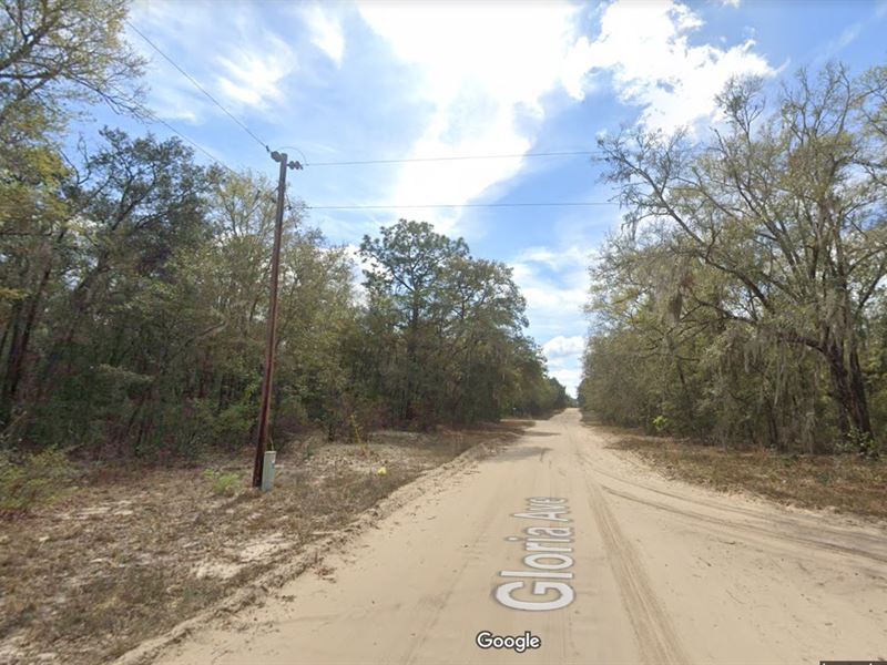 Step Into Florida's Future, $186/Mo : Interlachen : Putnam County : Florida