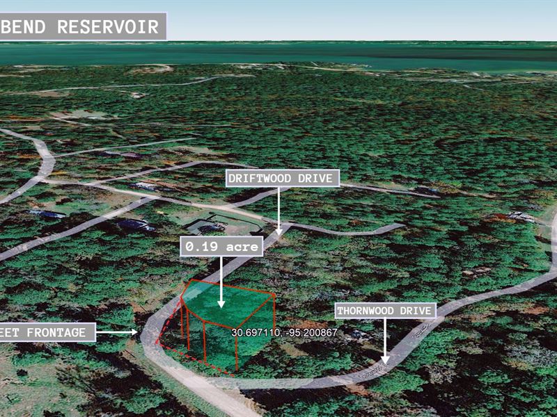 .18 Acre in Coldspring, $200/Month : Coldspring : San Jacinto County : Texas