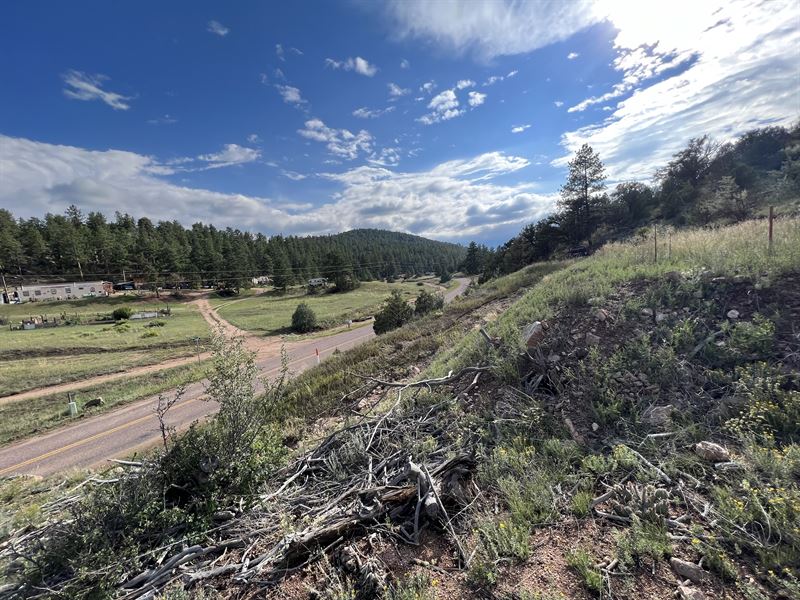 Lot with Beautiful Mountain Views : Cotopaxi : Fremont County : Colorado