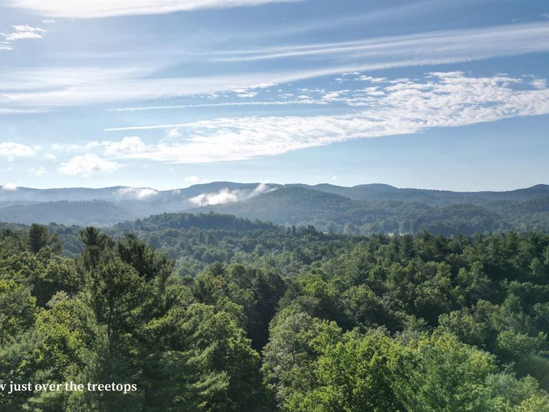 Hickory Run Lot 2 : Zirconia : Henderson County : North Carolina