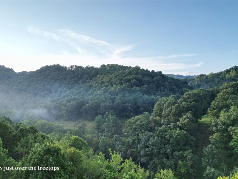 Hickory Run Lot 1 : Zirconia : Henderson County : North Carolina