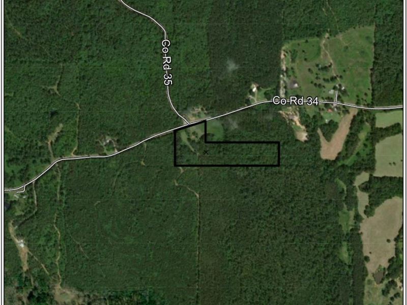 Beautiful Residential Property : Thaxton : Union County : Mississippi