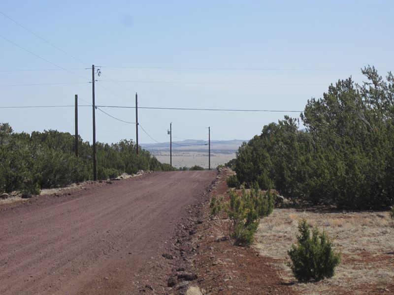 Third Acre's The Charm : Show Low : Apache County : Arizona
