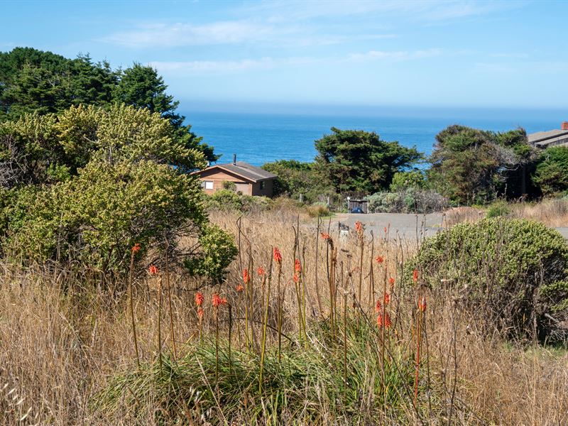 Ocean Views : Manchester : Mendocino County : California