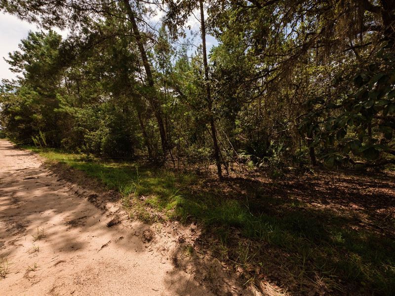 Your Dream Property Awaits : Interlachen : Putnam County : Florida