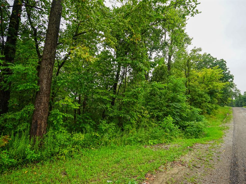 Irish Ridge Rd 9 : Corning : Perry County : Ohio