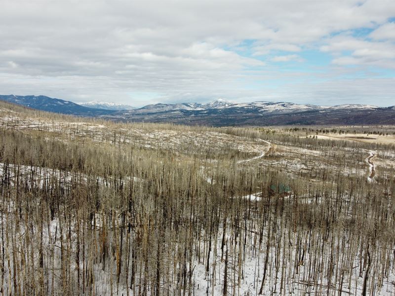 Paradise in Forbes Park in Colorado : Fort Garland : Costilla County : Colorado