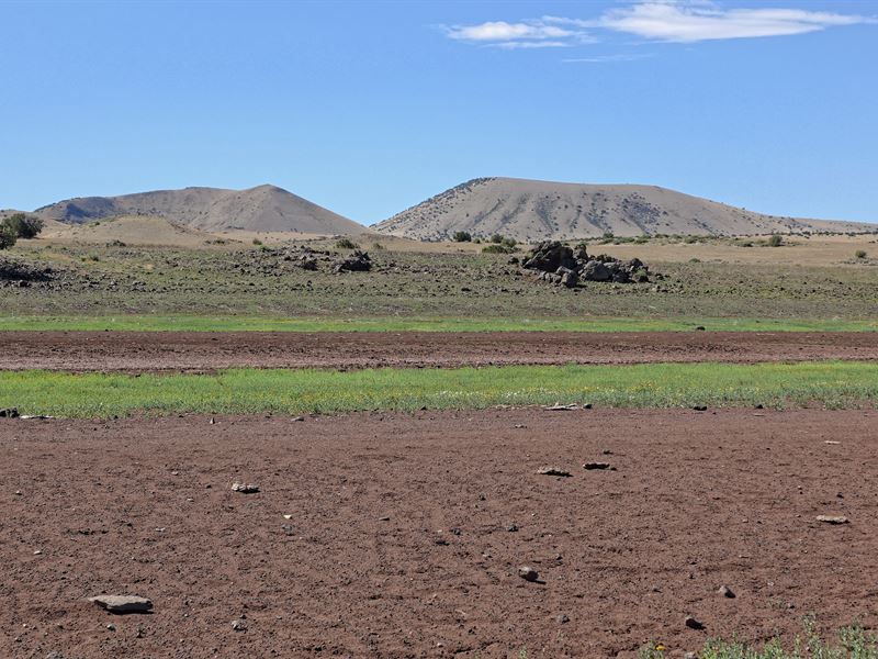 Invest in 2.56 Acres in Concho, AZ : Concho : Apache County : Arizona