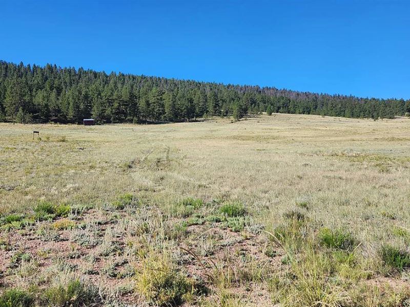 20 Acres, Peaceful and Private Lot : Canon City : Fremont County : Colorado