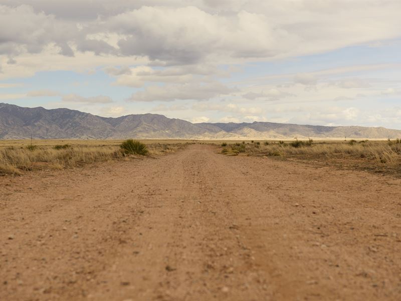 Can You Smell The Marshmallows : Belen : Valencia County : New Mexico