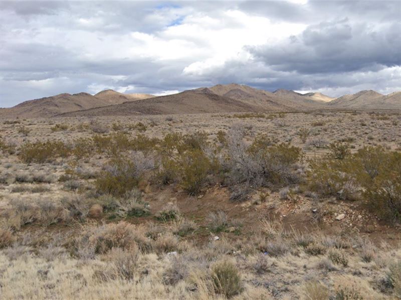 A New Life & New Possibilities, AZ : Kingman : Mohave County : Arizona