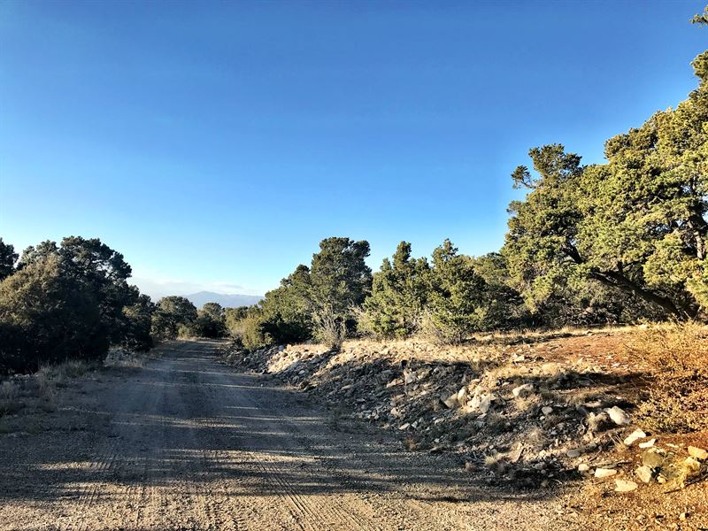 Own Exclusive Lot in Gated Zapata : Mosca : Alamosa County : Colorado