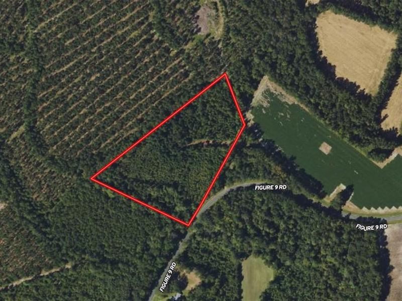 6.5 Acres of Resi : Council : Bladen County : North Carolina