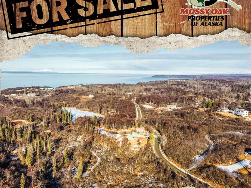.95 Acres View of Mountains and Coo : Nikiski : Kenai Peninsula Borough : Alaska