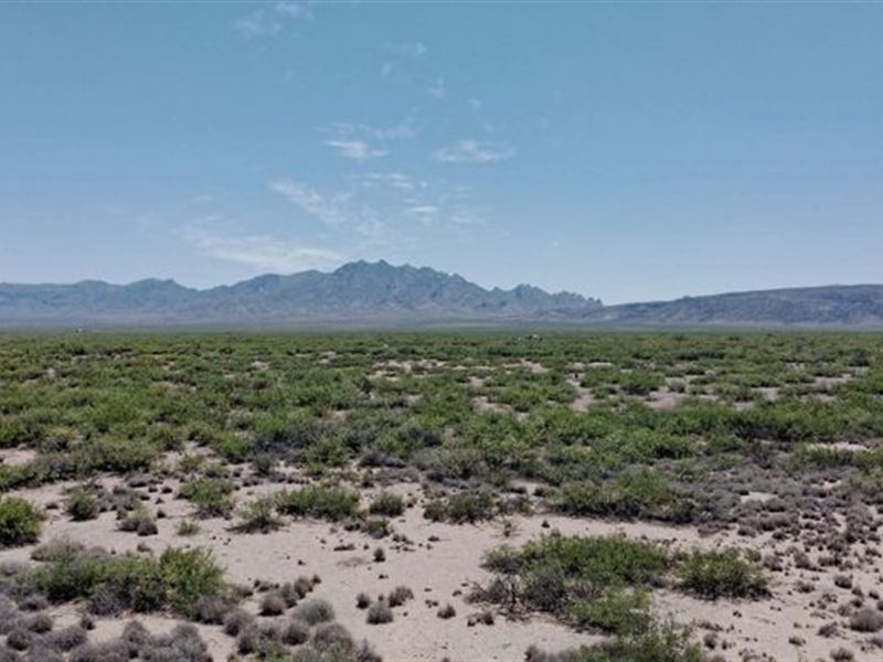 Spectacular 0.69 Acre, $100 Down : Deming : Luna County : New Mexico