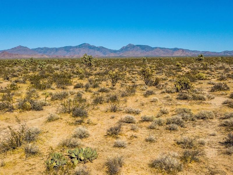 1.24 Residential Acre Lot : Kingman : Mohave County : Arizona