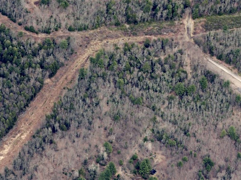 130K Sqft in Fallsburg, NY : Fallsburg : Sullivan County : New York