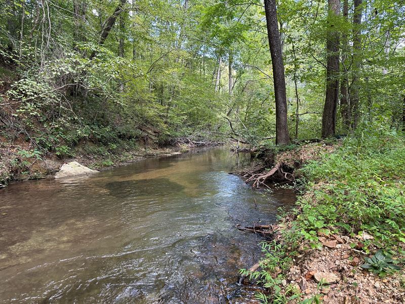 13.5 Acres Of Land for Sale, Creek : Olivehill : Hardin County : Tennessee