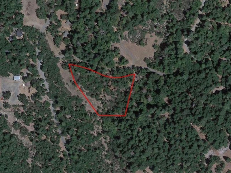 Highly Sought After Location : Potter Valley : Lake County : California