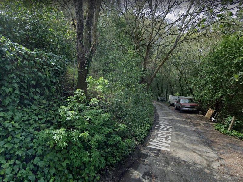Spacious Lot, Wooded Neighborhood : Forestville : Sonoma County : California