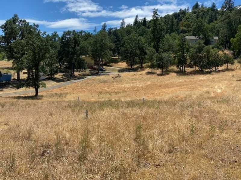 Beautiful and Spacious Lot : Pioneer : Amador County : California