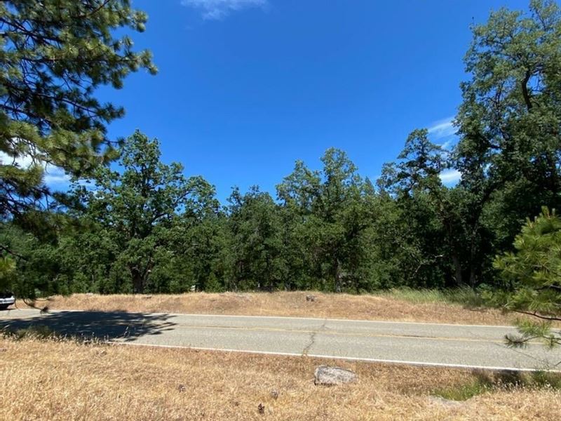 Perfect Lot with Desirable Location : Pioneer : Amador County : California